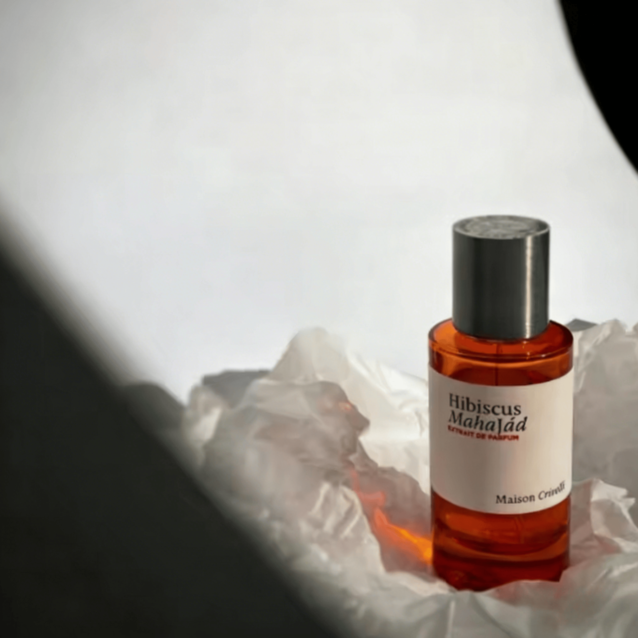 100ml Premium Arabic Perfume U – Perfume Adrien Fragrance Bewertung und Preis