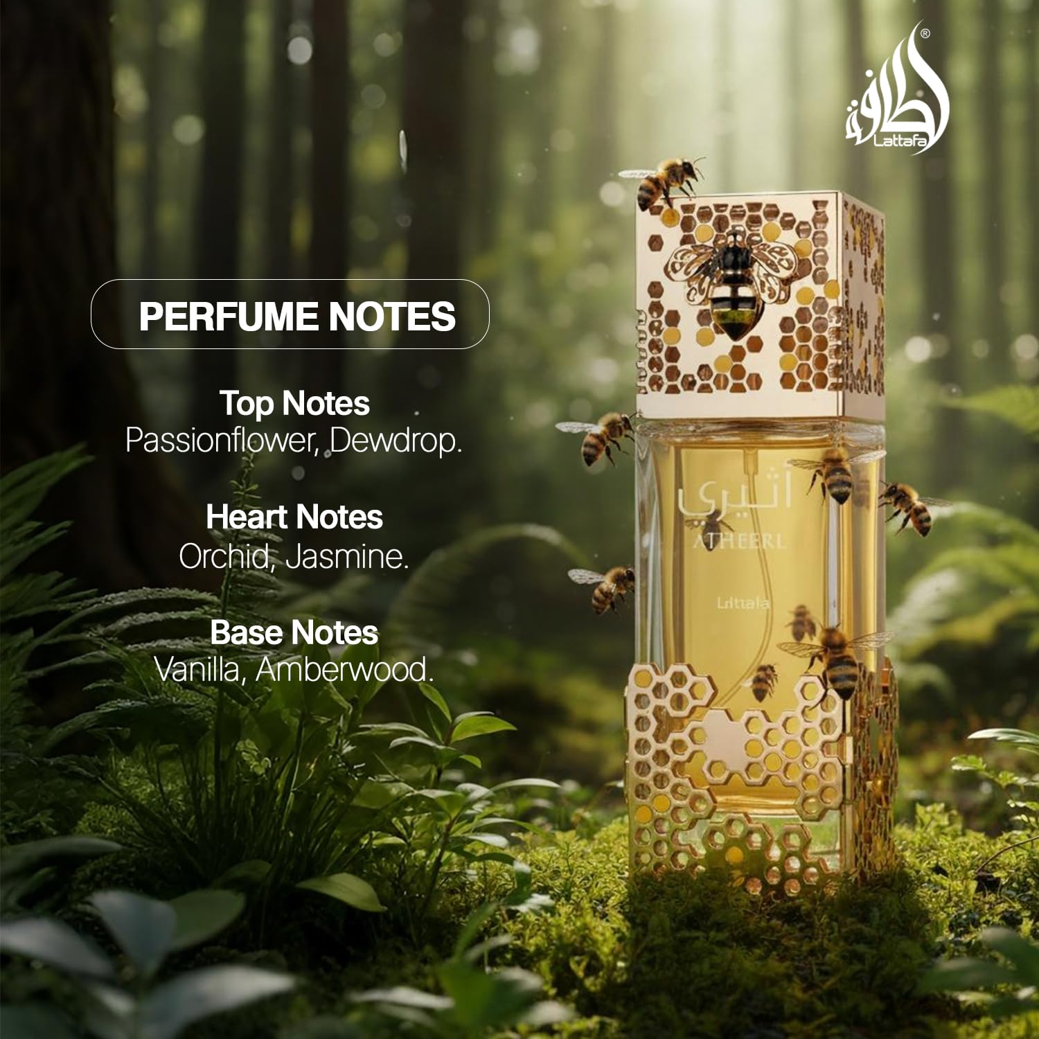 Atheeri EDP 100ml, Luxury Swee – Perfume Adrien Fragrance Bewertung und Preis