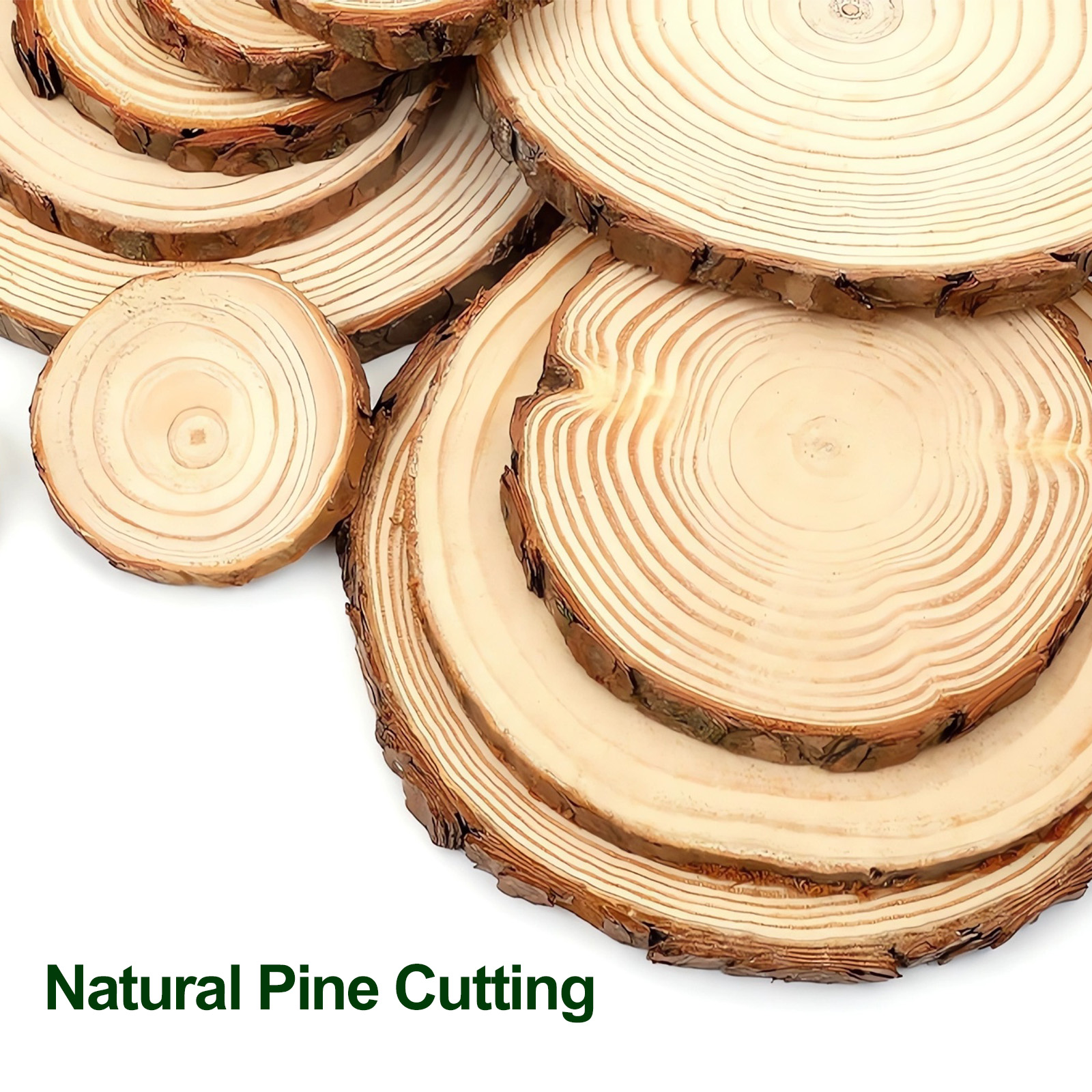 12pcs Wood Slices  Thicken Pin – Oud Wood Chip Bewertung und Preis