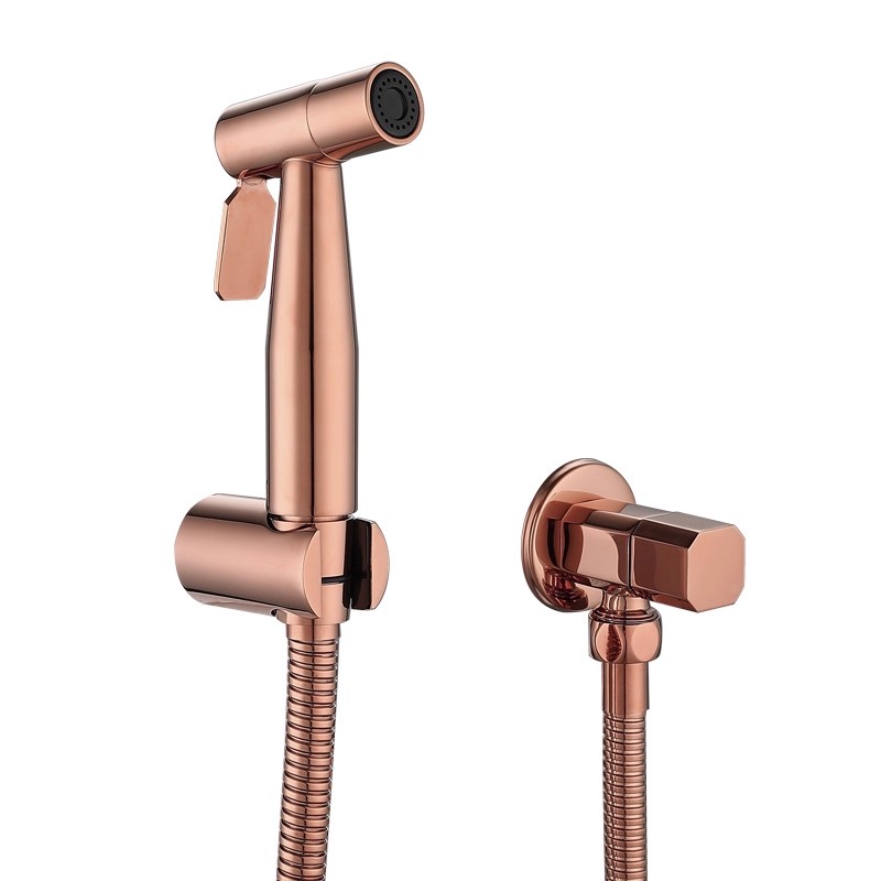 Brushed Gold Toilet Bidet Fauc – Rose Water Spray Bewertung und Preis