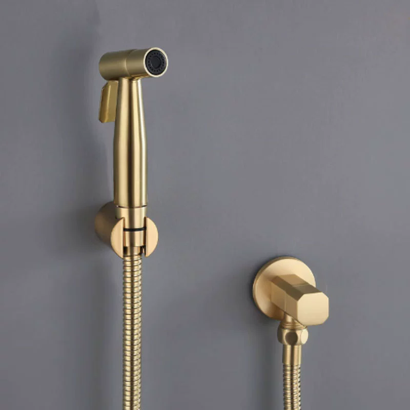 Brushed Gold Toilet Bidet Fauc – Rose Water Spray Bewertung und Preis